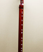 Load image into Gallery viewer, Valuable Tsugaru Shamisen Tokyo Meister Award Traditional Specialty Craftsman