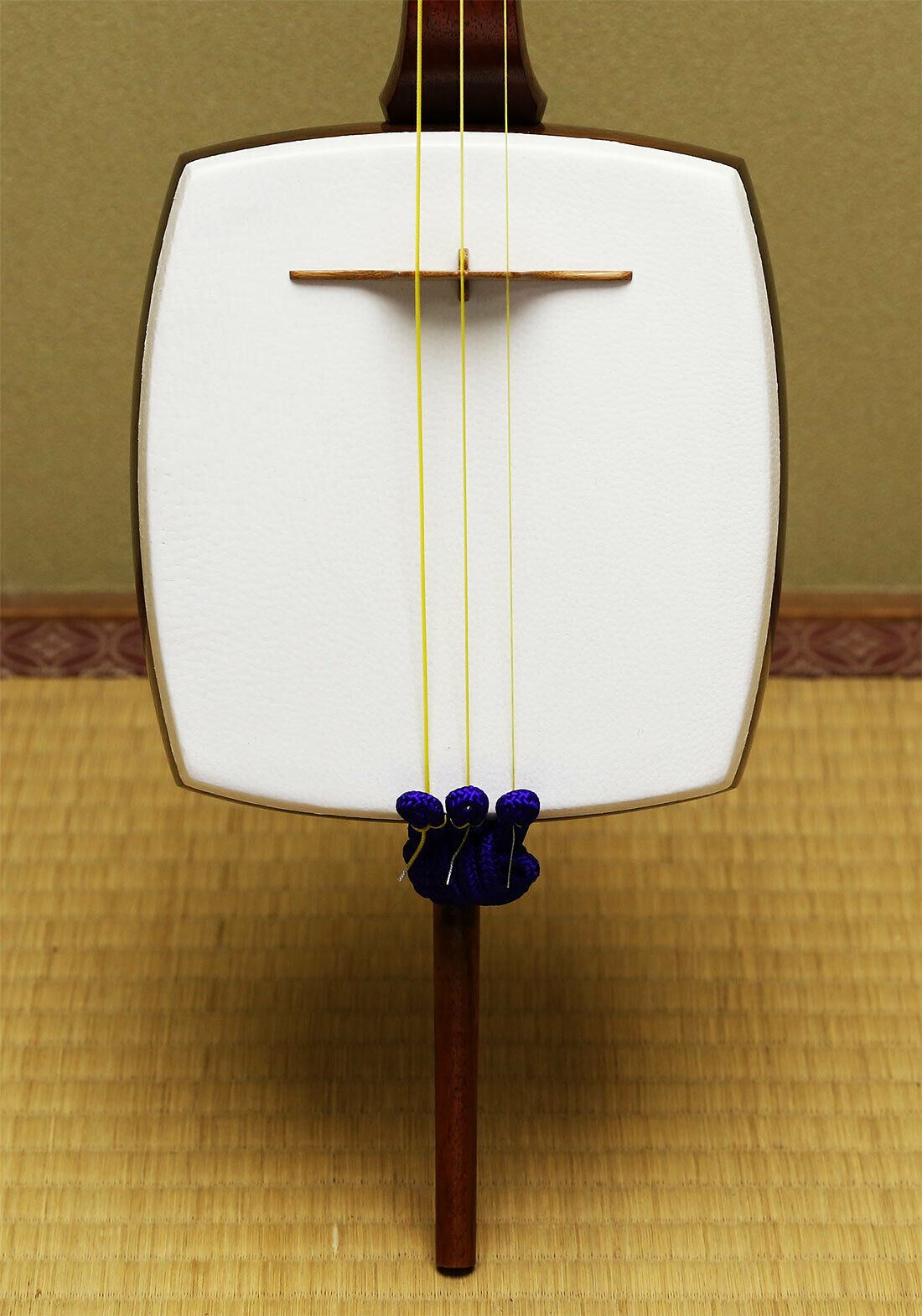 Japanese String Instrument